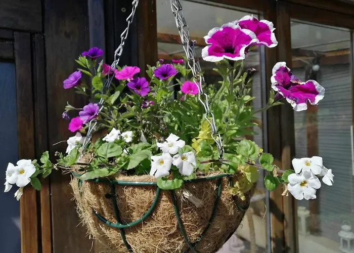 Normand - Vire Calvados Relaxing Rural Retreat * Le Reculey